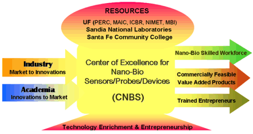 Diagram of how industry and academia contribute to CNBS, and by using the available resources the CNBS can contribute a nano-bio skilled workforce, commercially feasible value added products, and trained entrepreneurs.